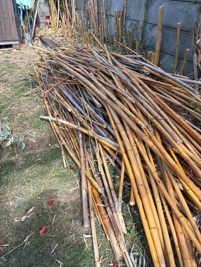 bamboo sticks FREE