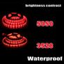 3528 5050 5M/10M/15M/20M RGB SMD LED Disco Party Bar DJ Roll Strip Light 12V Waterproof USB TV Kitchen Cabinet Car Boat Bed Under Counter Image 6
