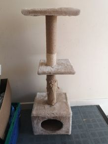 cat scratching stand