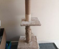 cat scratching stand