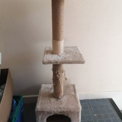 cat scratching stand