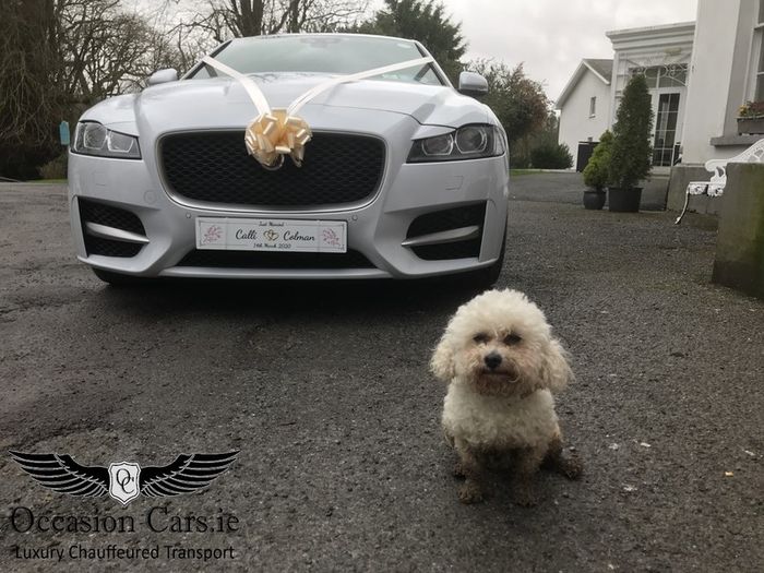 Wedding Car Hire - Luxury Modern cars