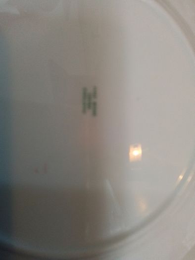 21 Piece Fine Bone China