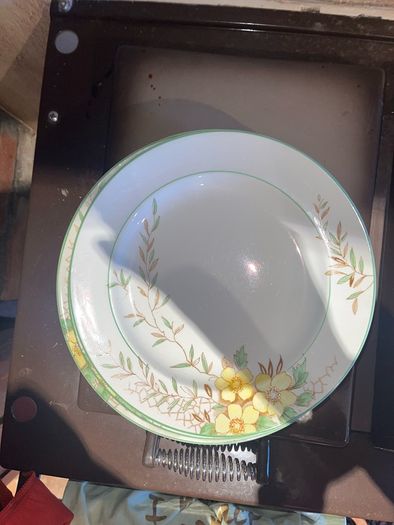 Burgess bros plates and jug