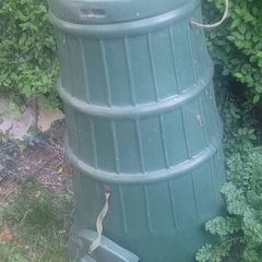 compost bin 2