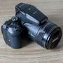 Nikon COOLPIX P900 16MP Bridge Camera 83x Optical Zoom 24-2000mm Wildlife Photography Wi-Fi EVF Full HD 1080p Video Image 5