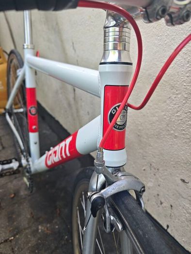 Giant Fixie Medium
