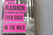 Rebus detective novels by Ian Rankin .