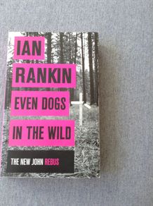 Rebus detective novels by Ian Rankin .
