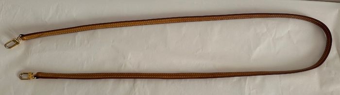 Louis Vuitton Eva bag