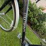American Sourced Momentum Bike Image 2