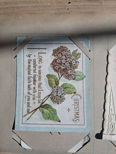 Mega Art Nouveau Postcard Album (197 Pieces)