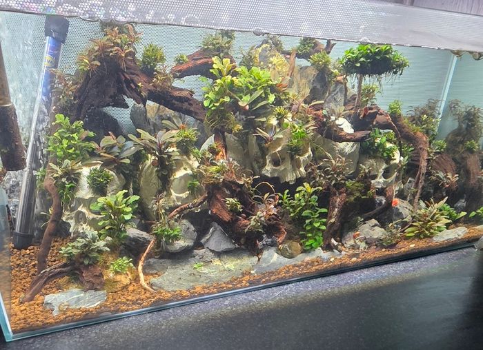 fluval flex