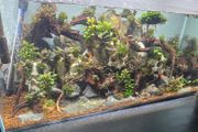 fluval flex