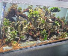 fluval flex