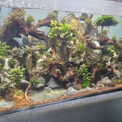 fluval flex