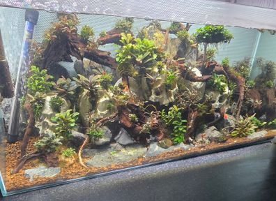 fluval flex