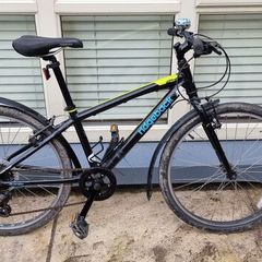 Ridgeback Dimension 24 kids bike 7-12y