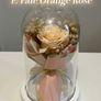 Rose Bouquet Under Glass Dome (6 Colour Options) Image 7