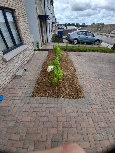 lawn care landscape and garden services