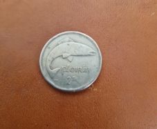 1961 Irish Floirin