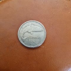 1961 Irish Floirin