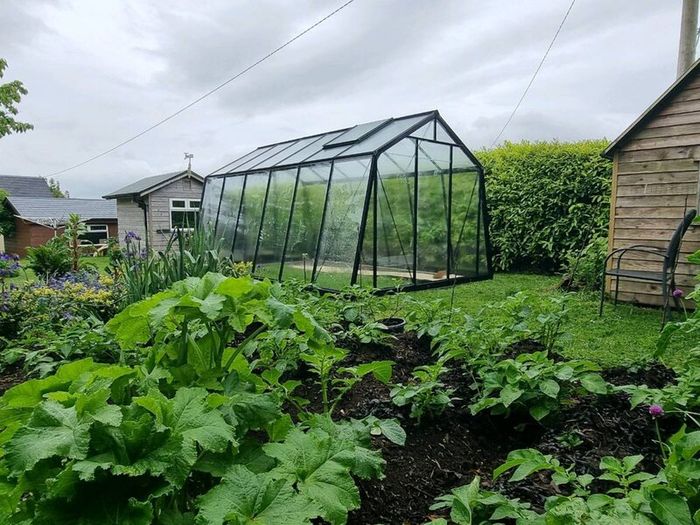 Greenhouses glasshouses garden rooms
