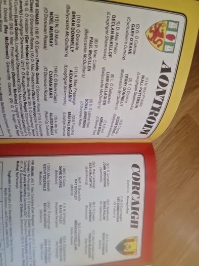 1990 All-Ireland Hurling Semi-Final Official Programme