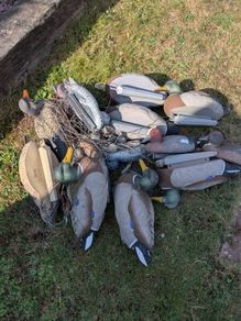 Duck decoys