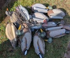Duck decoys