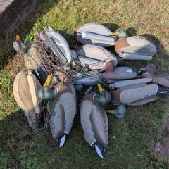 Duck decoys