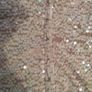 Champagne colour sequined top Image 3