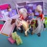 Pony Show Camper Van Image 2
