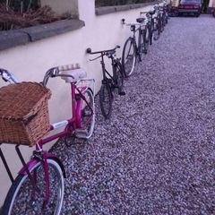 Vintage Bicycles