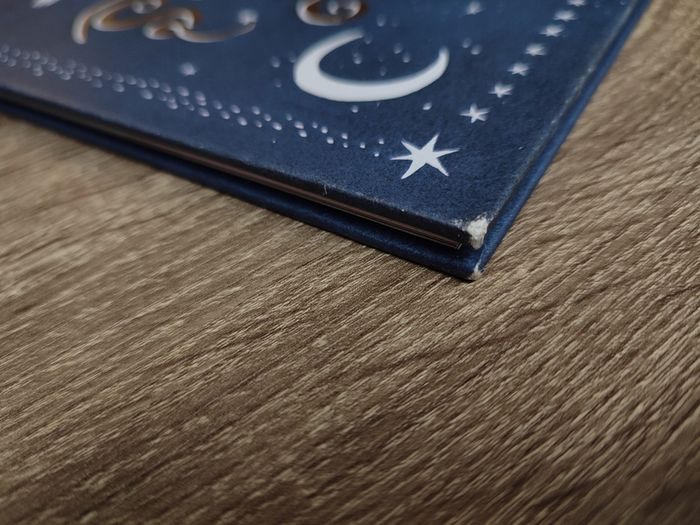The Bear in the Stars ! Hardcover ! 2020 ! by Puffin !