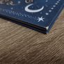 The Bear in the Stars ! Hardcover ! 2020 ! by Puffin ! Image 7