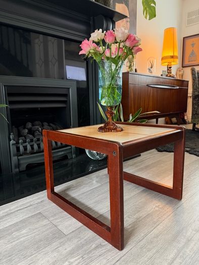 Mid Century Plant Side Coffee Table