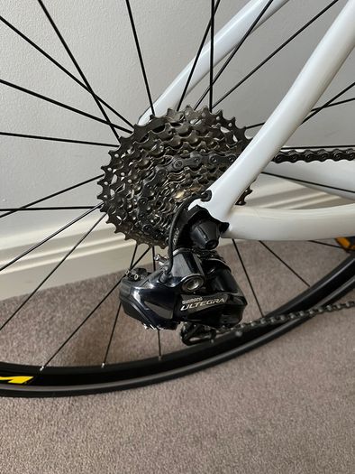Fuji (full carbon, Ultegra Di2)