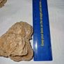Desert rose Crystal Image 2