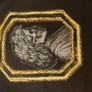 Authentic Alexander Mcqueen Curiosities Hand Sewn Embroidery Scarf Image 10