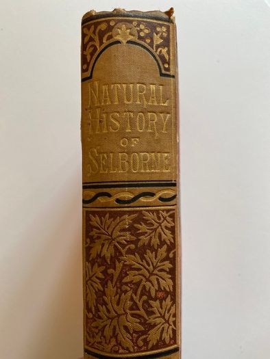 1891 The Natural History of Selborne