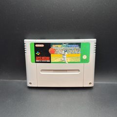 Super International Cricket Super Nintendo Snes