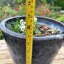 Beautiful heavy ceramic pot Image 2