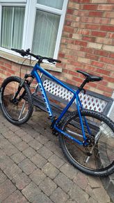 carrera mtb mountain bike