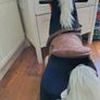 Rocking Horse Image 4