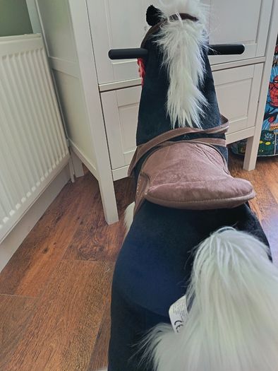 Rocking Horse