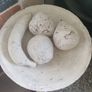 Alabaster fruit in bowl Image 2