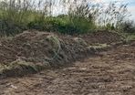 Free Topsoil