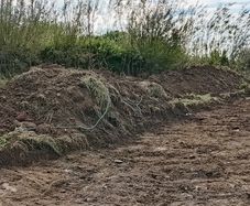 Free Topsoil