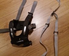 Child walking restraint